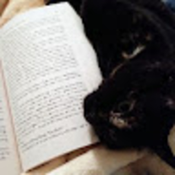 Meet your Posher, S - Picture 1 of 1